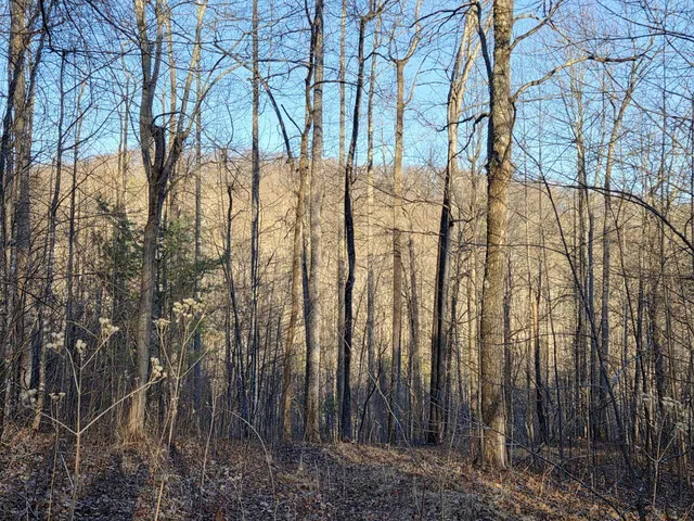 $99,950 | 0 Day Break Lane, Boones Mill, VA 24065