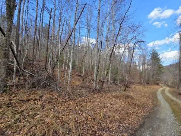 a view of empty room with a tree