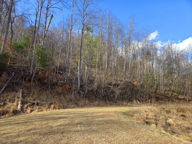 $99,950 | 0 Day Break Lane, Boones Mill, VA 24065