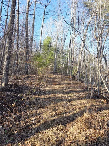 $99,950 | 0 Day Break Lane, Boones Mill, VA 24065