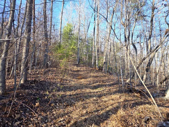 $99,950 | 0 Day Break Lane, Boones Mill, VA 24065