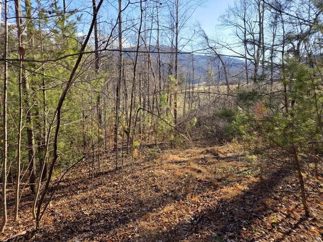 $99,950 | 0 Day Break Lane, Boones Mill, VA 24065