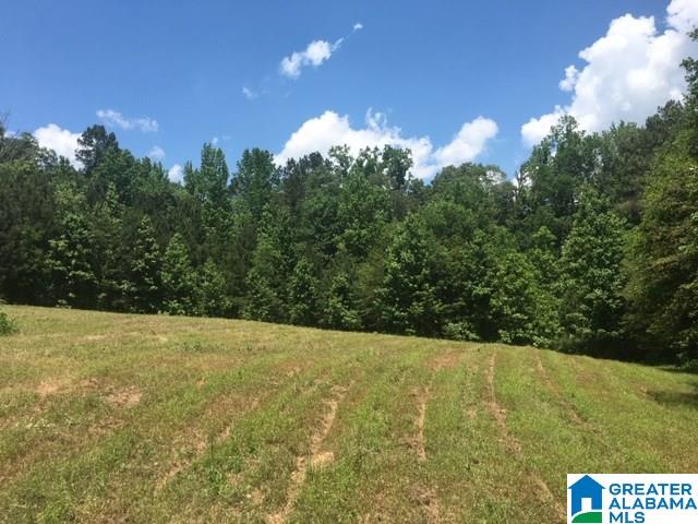 5001 Greathouse Road, Unit 1 Dora, AL 35062 - Photo 1 of 6