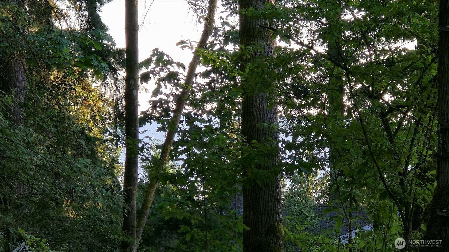 4156 Agate Road Bellingham, WA 98226 - Photo 29 of 35 Gallery Image 29