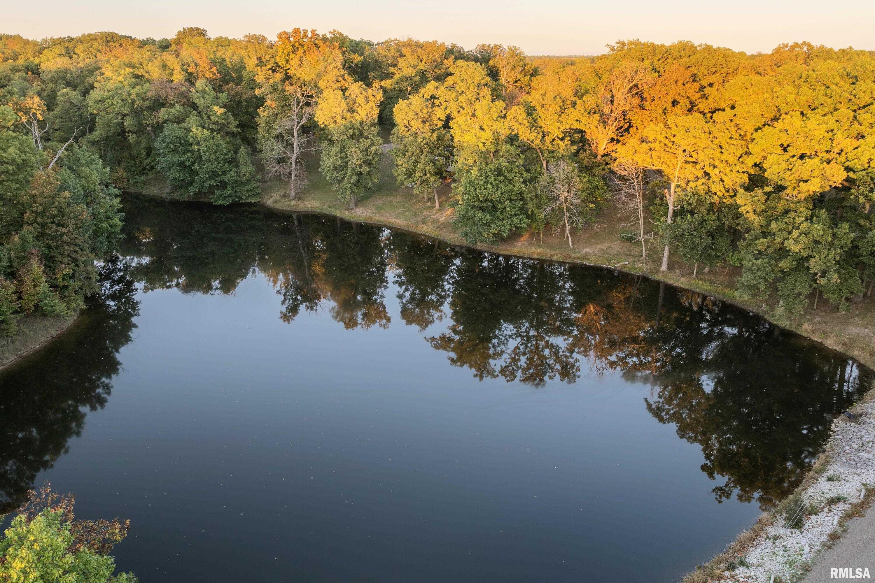 8825 Lake Of The Woods Road Fowler, IL 62338 - Photo 49 of 62