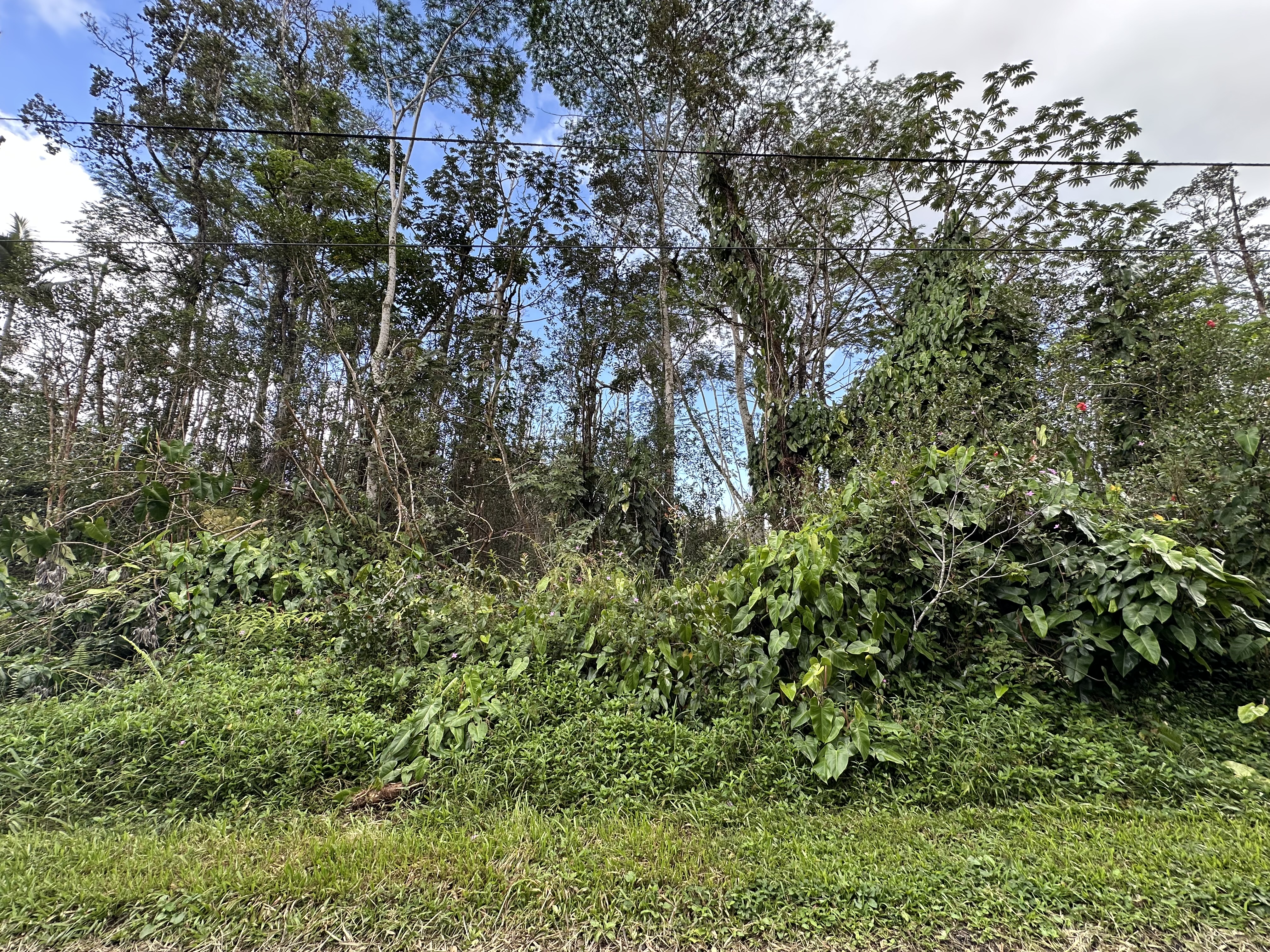 Lanai Road Pahoa, HI 96778 - Photo 1 of 9 Gallery Image 1