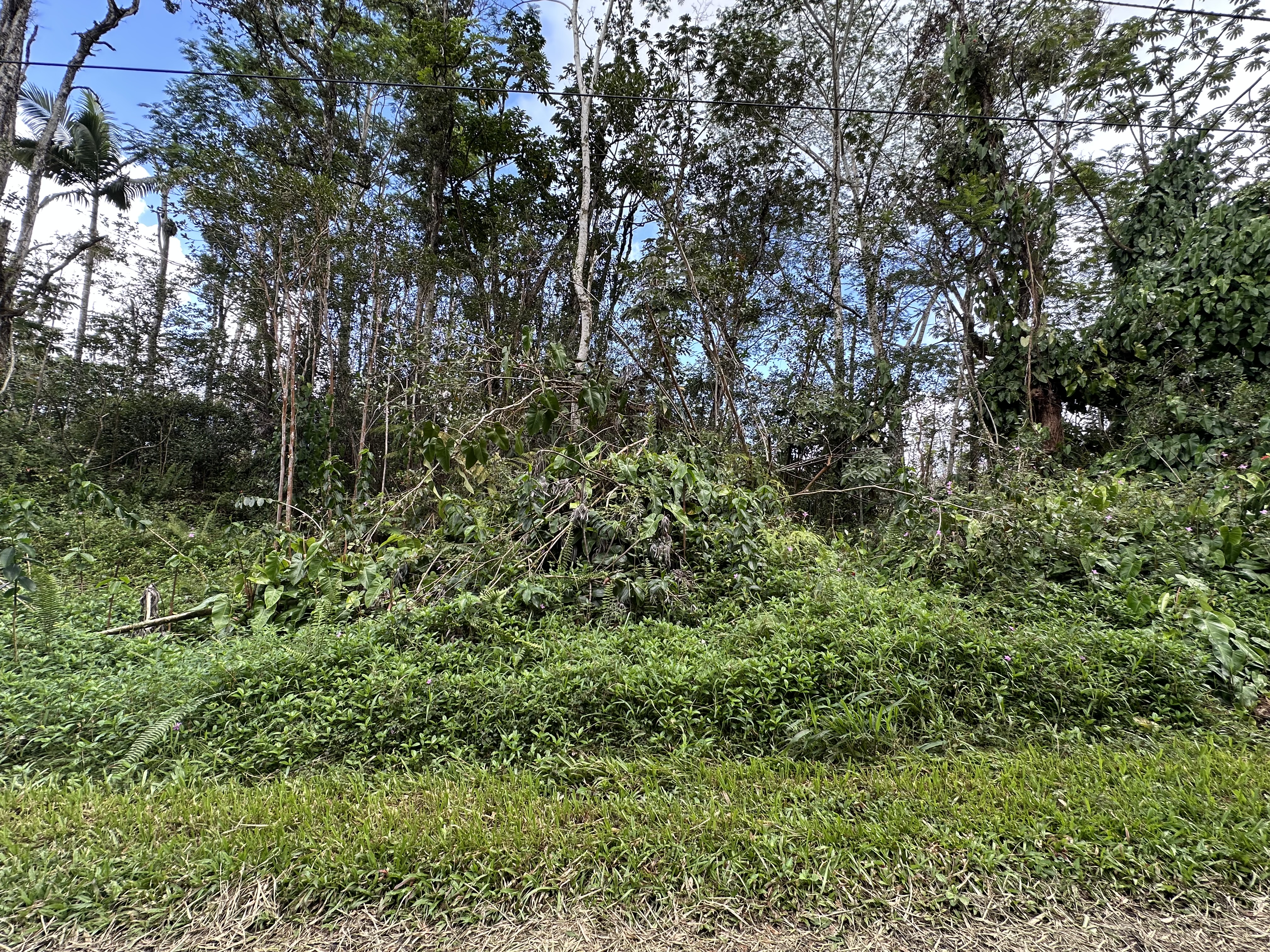 Lanai Road Pahoa, HI 96778 - Photo 2 of 9 Gallery Image 2