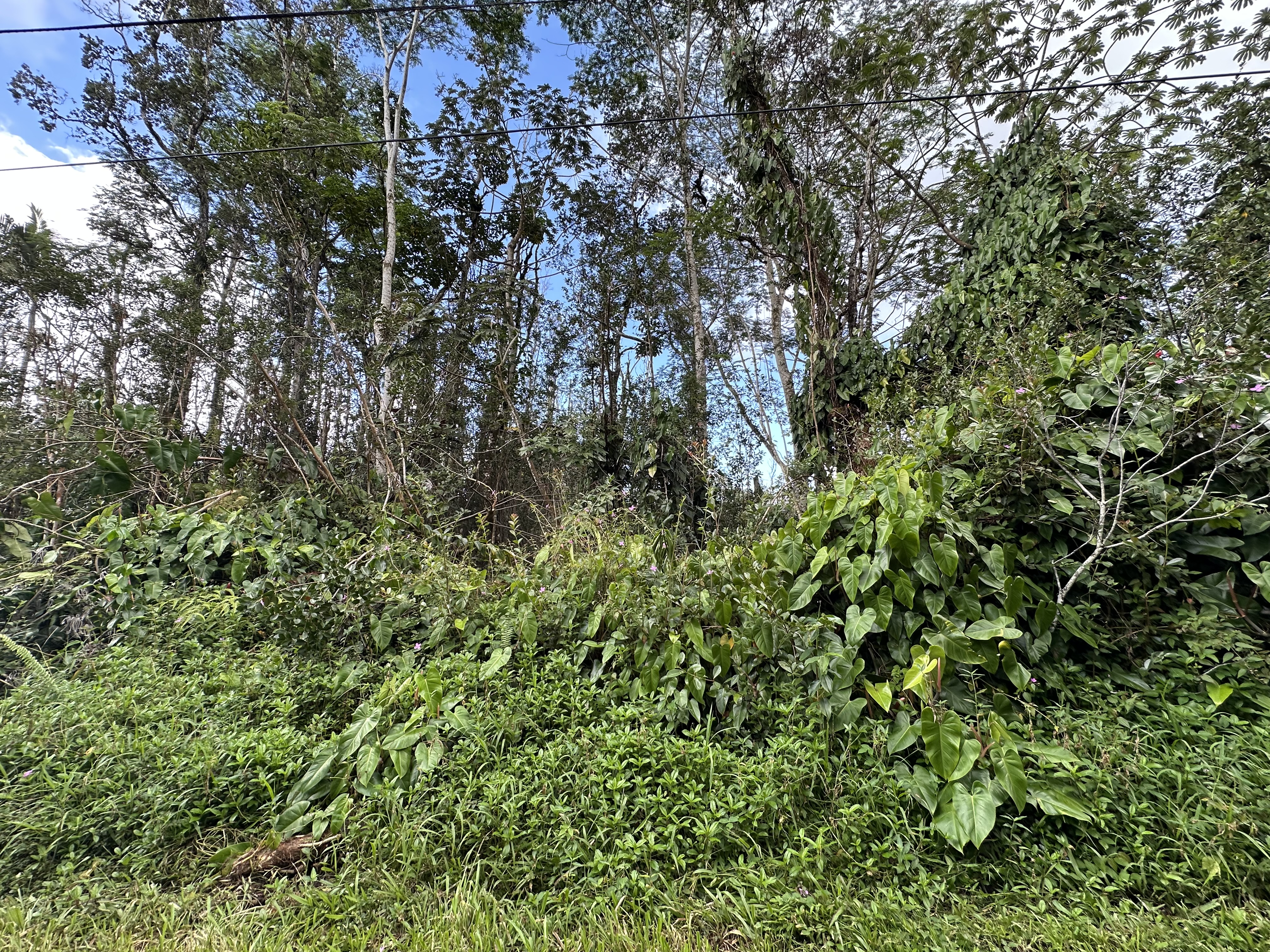 Lanai Road Pahoa, HI 96778 - Photo 3 of 9 Gallery Image 3