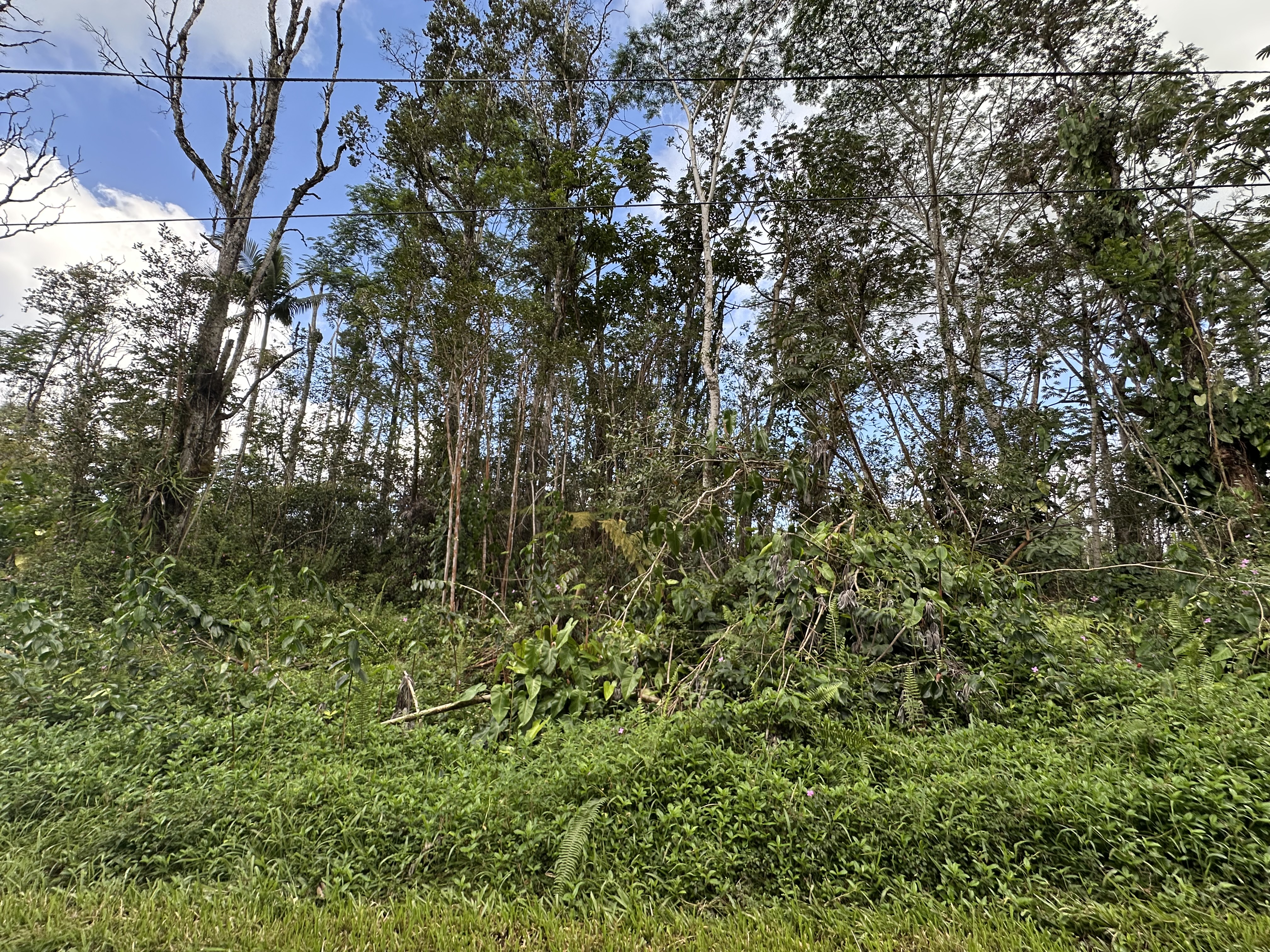 Lanai Road Pahoa, HI 96778 - Photo 4 of 9 Gallery Image 4