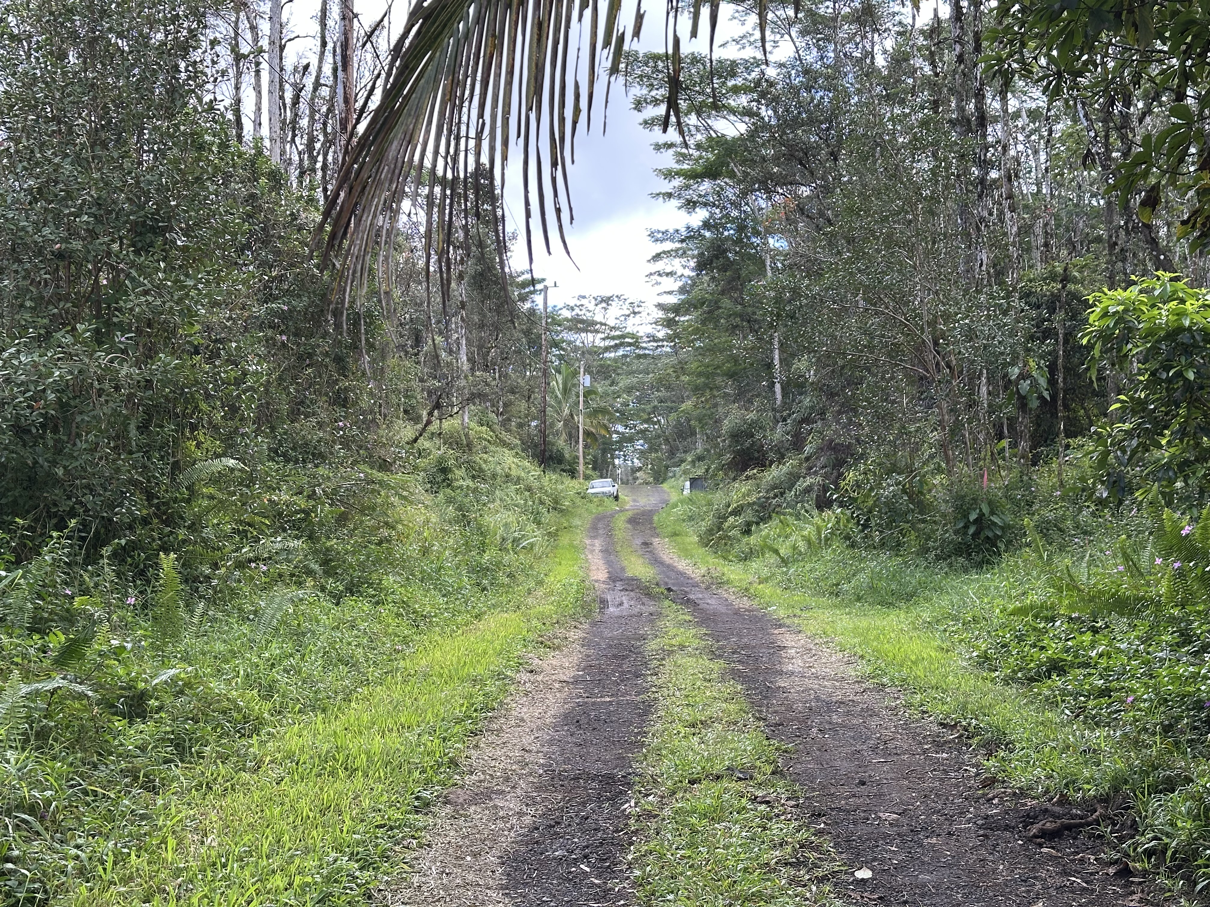 Lanai Road Pahoa, HI 96778 - Photo 5 of 9 Gallery Image 5