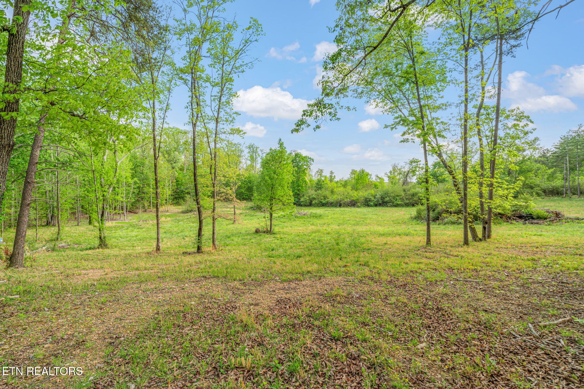 200 Briarcliff Road Sweetwater, TN 37874 - Photo 54 of 59 14-web-or-mls-200 Briarcliff Road-15