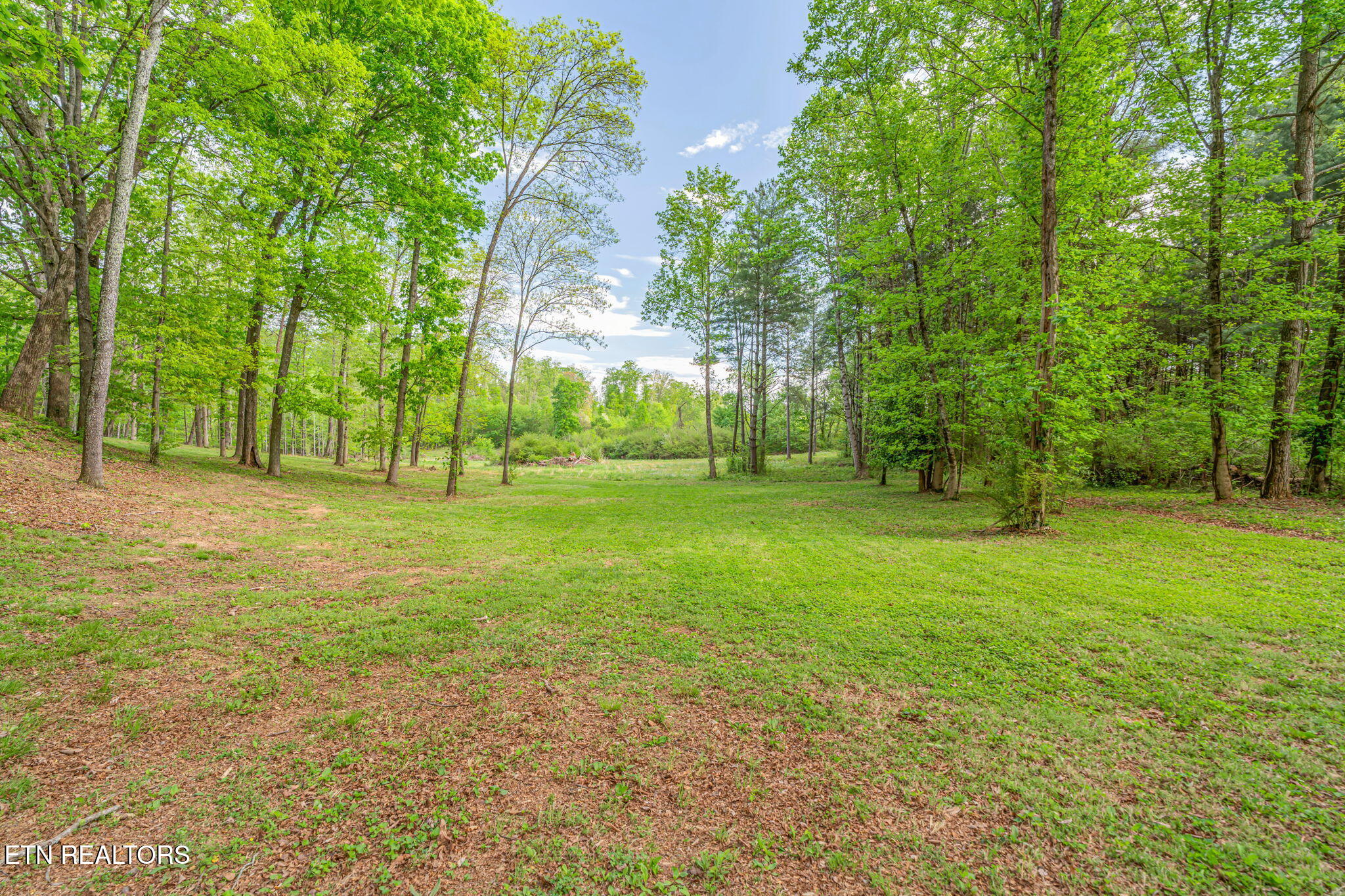 200 Briarcliff Road Sweetwater, TN 37874 - Photo 55 of 59 17-web-or-mls-200 Briarcliff Road-18