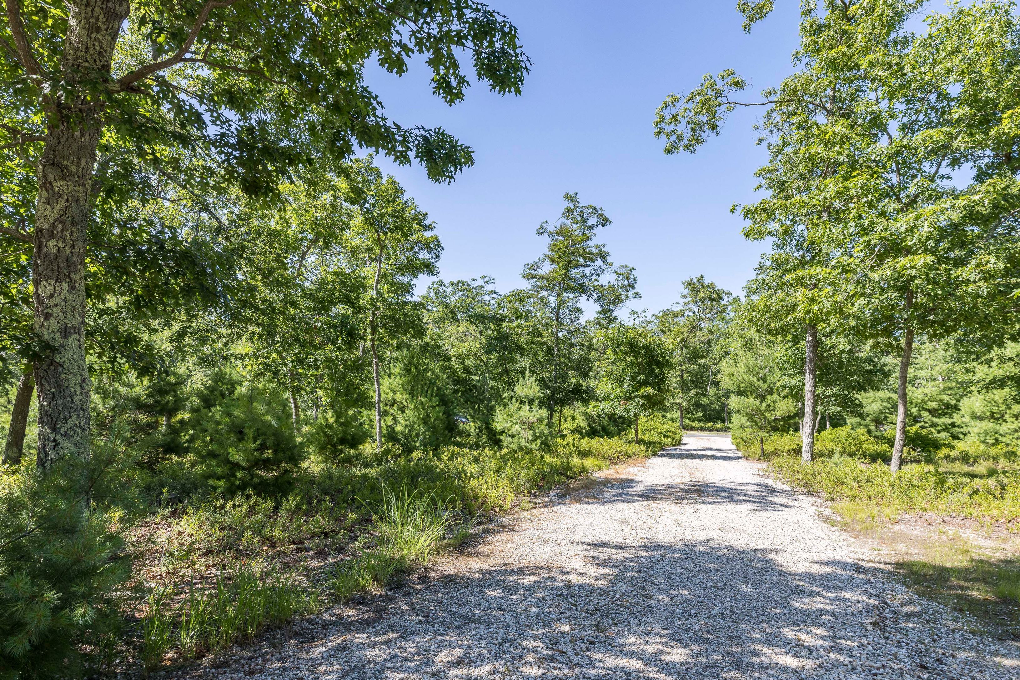 97 Swamp Road East Hampton, NY 11937 - Photo 27 of 28 a view of a yard with plants and large trees