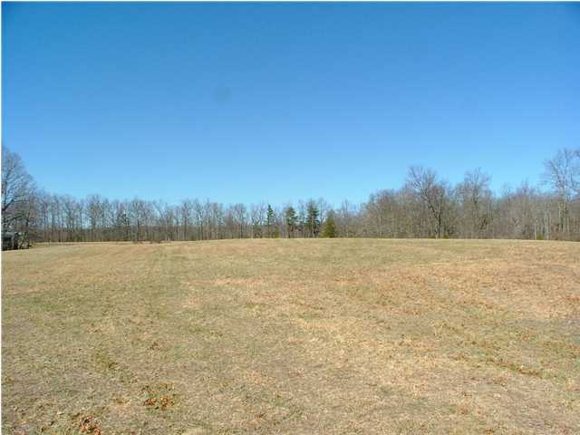 1 Flarity Road Cloudland, GA 30731 - Photo 1 of 1 Primary Photo