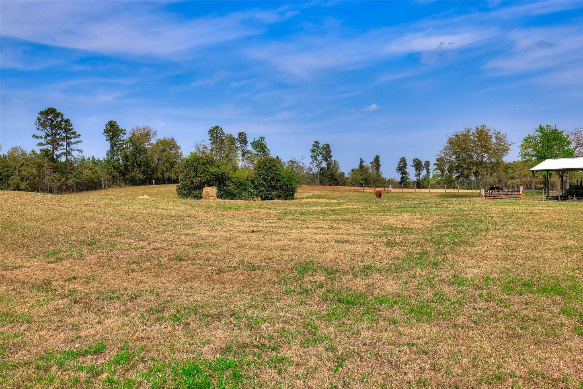 125 Peach Cider Road Batesburg, SC 29006 - Photo 18 of 82