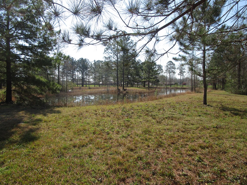 Tbd Lot 1 Tbd Road Dothan, AL 36301 - Photo 9 of 15 Gallery Image 9