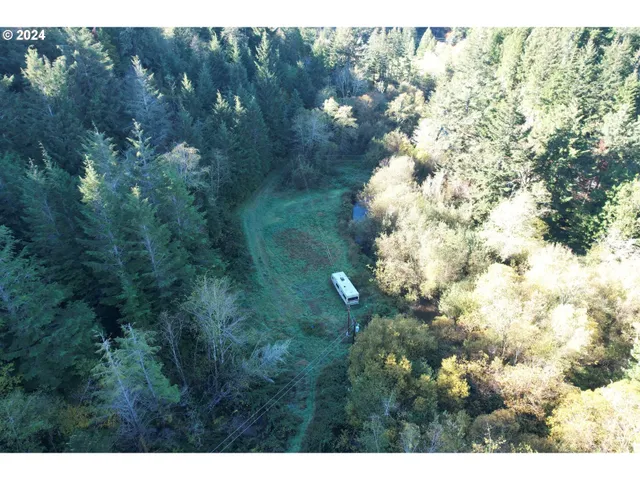 a view of a lush green forest with lots of trees