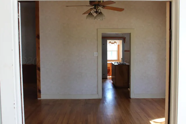 a view of a lot of trees in back yard