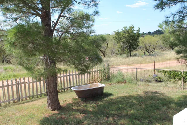 a view of a bench in the garden