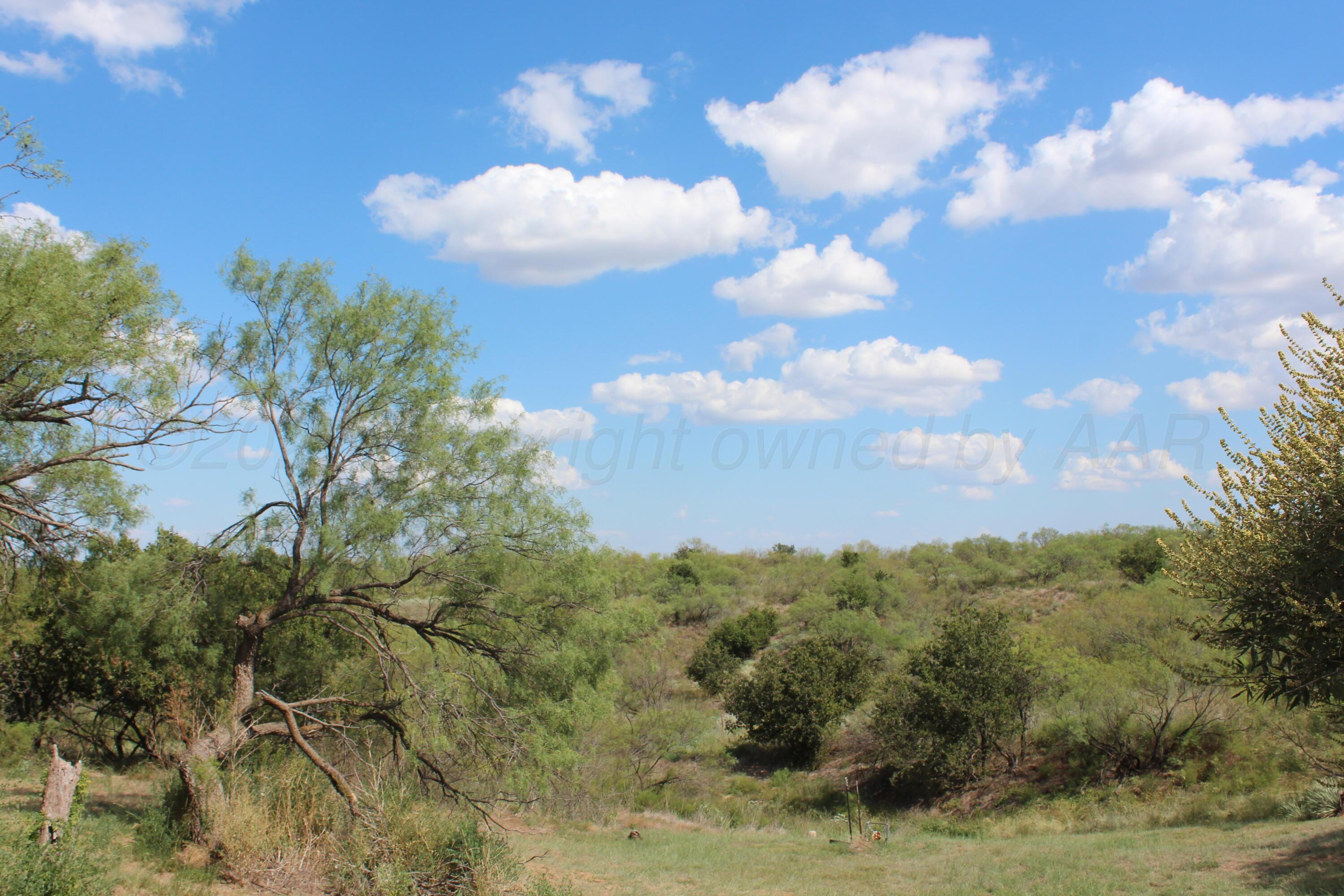 14330 Broome Road Memphis, TX 79245 - Photo 54 of 63 a view of a lot of trees in back yard
