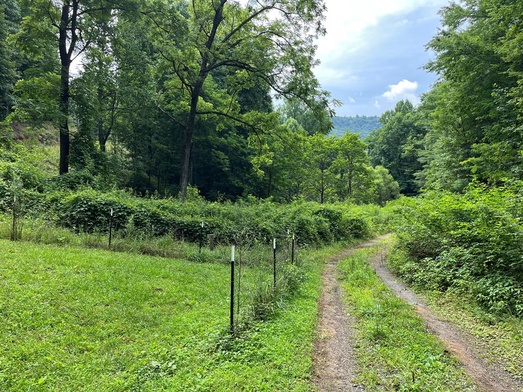 0 Bates Creek Road Murphy, NC 28906 - Photo 1 of 7 Main View