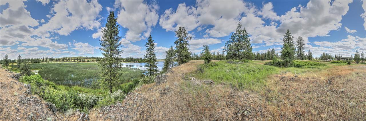 16722 West Williams Lake Road Cheney, WA 99004 - Photo 3 of 20