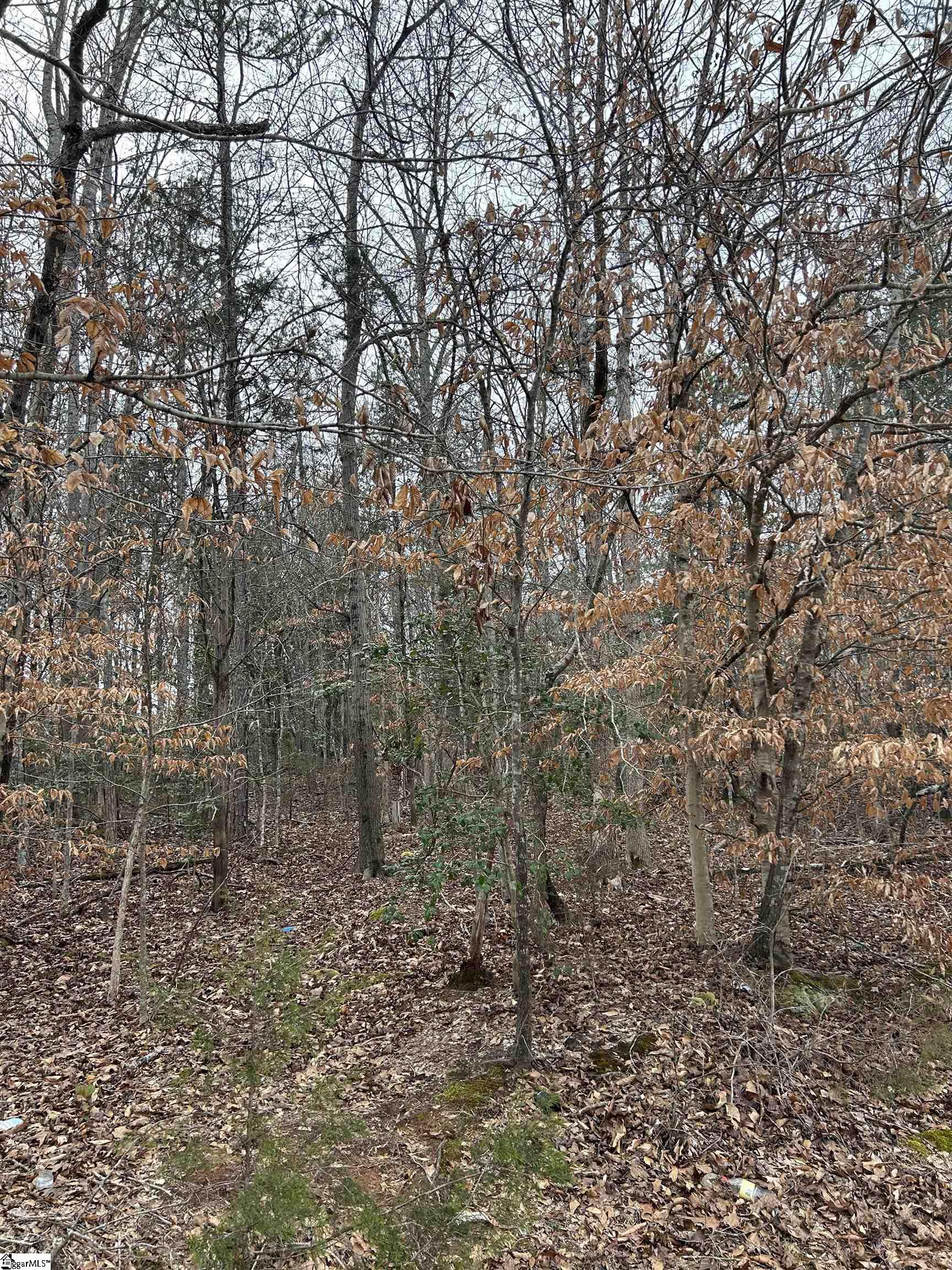 0 Woods Circle Fountain Inn, SC 29644 - Photo 2 of 11