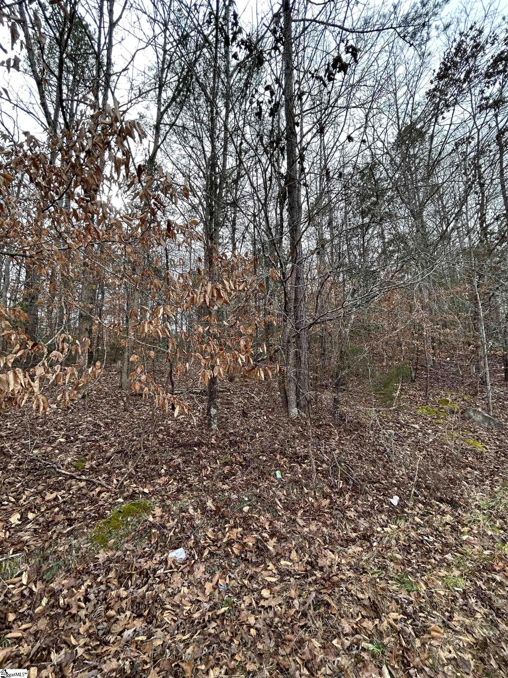 0 Woods Circle Fountain Inn, SC 29644 - Photo 3 of 11