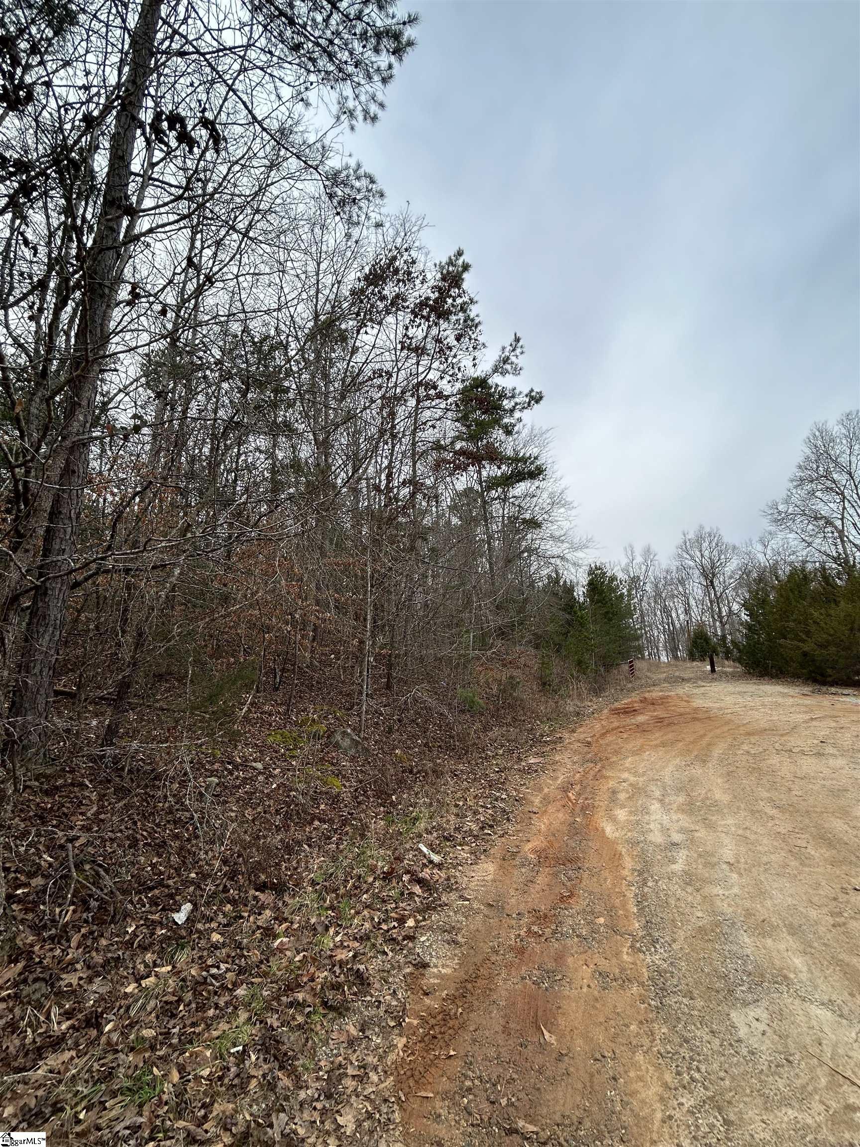 0 Woods Circle Fountain Inn, SC 29644 - Photo 4 of 11