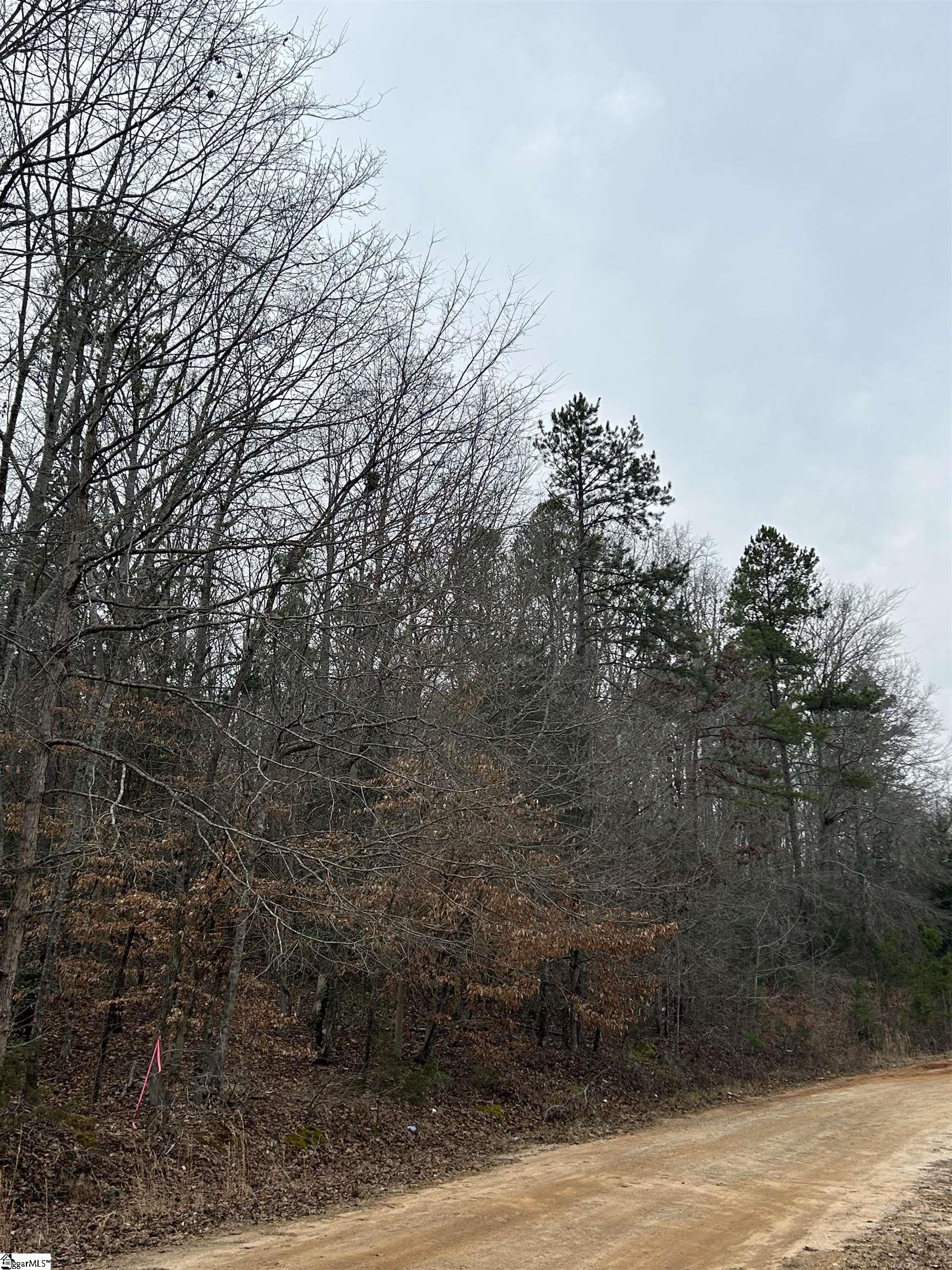 0 Woods Circle Fountain Inn, SC 29644 - Photo 6 of 11