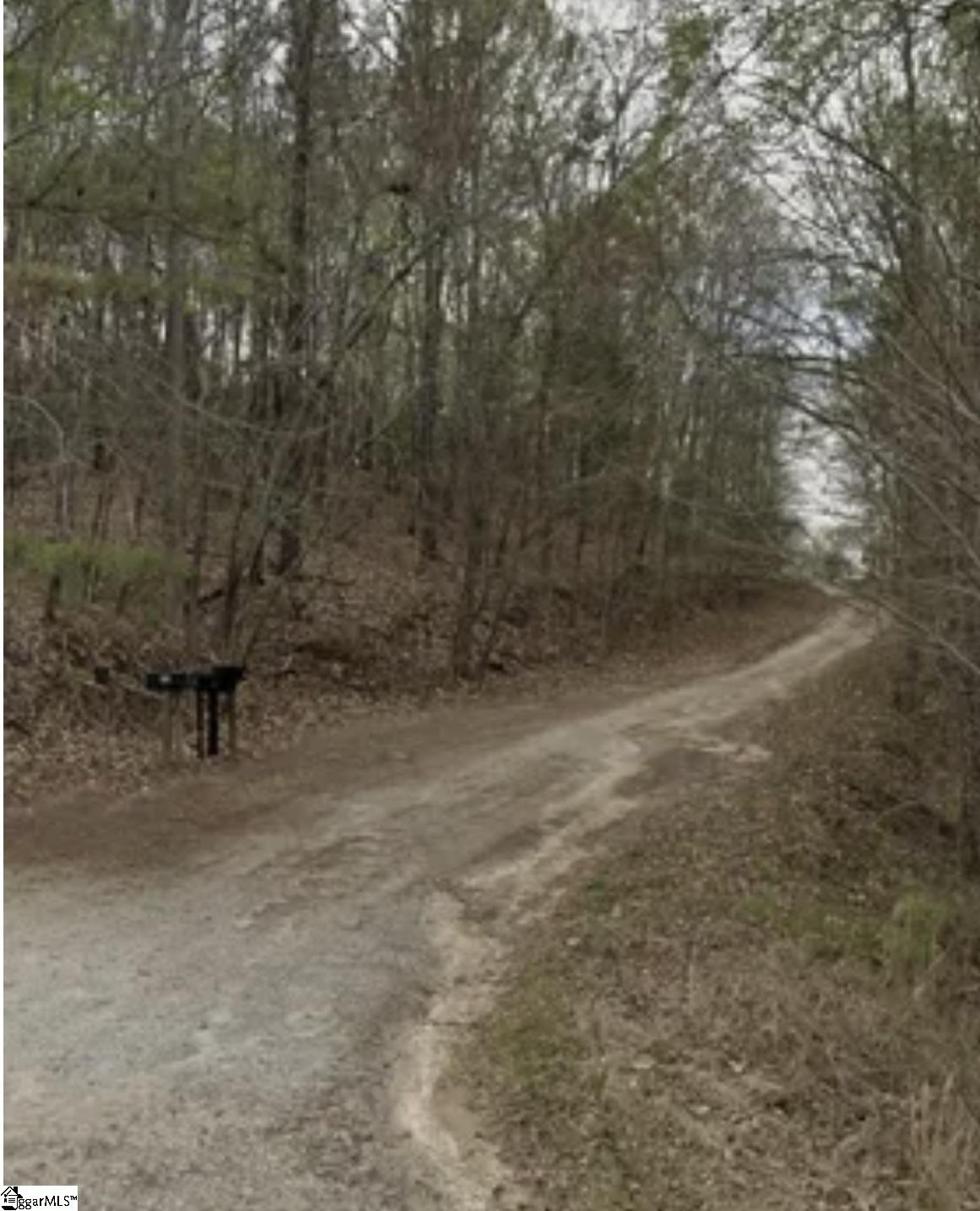 0 Woods Circle Fountain Inn, SC 29644 - Photo 8 of 11