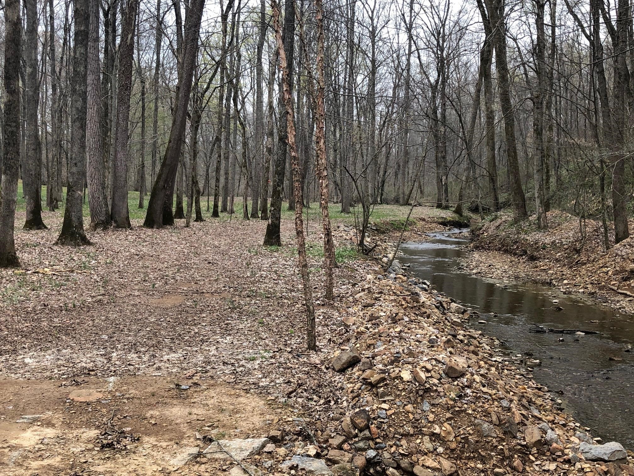 8 Highway 76 East Springfield, TN 37172 - Photo 1 of 9 a backyard of a house with lots of green space