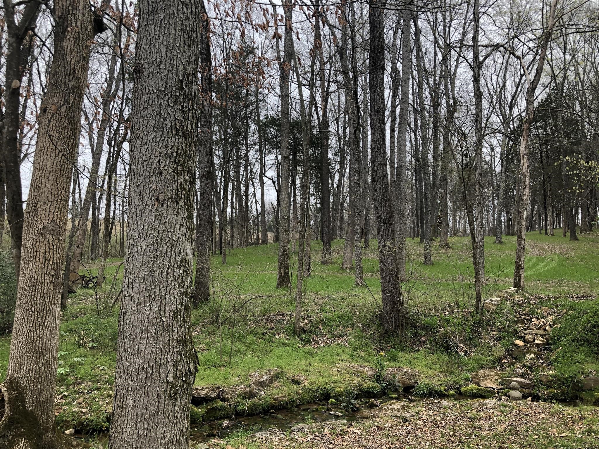 8 Highway 76 East Springfield, TN 37172 - Photo 3 of 9 a view of a garden