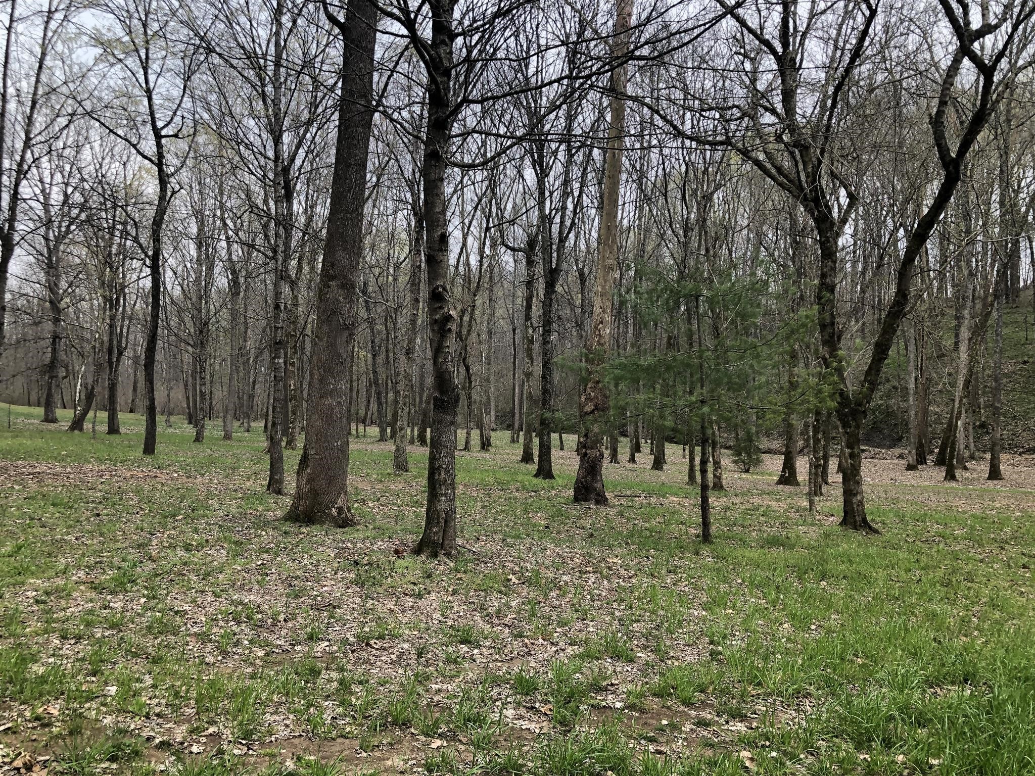 8 Highway 76 East Springfield, TN 37172 - Photo 4 of 9 a view of outdoor space with trees