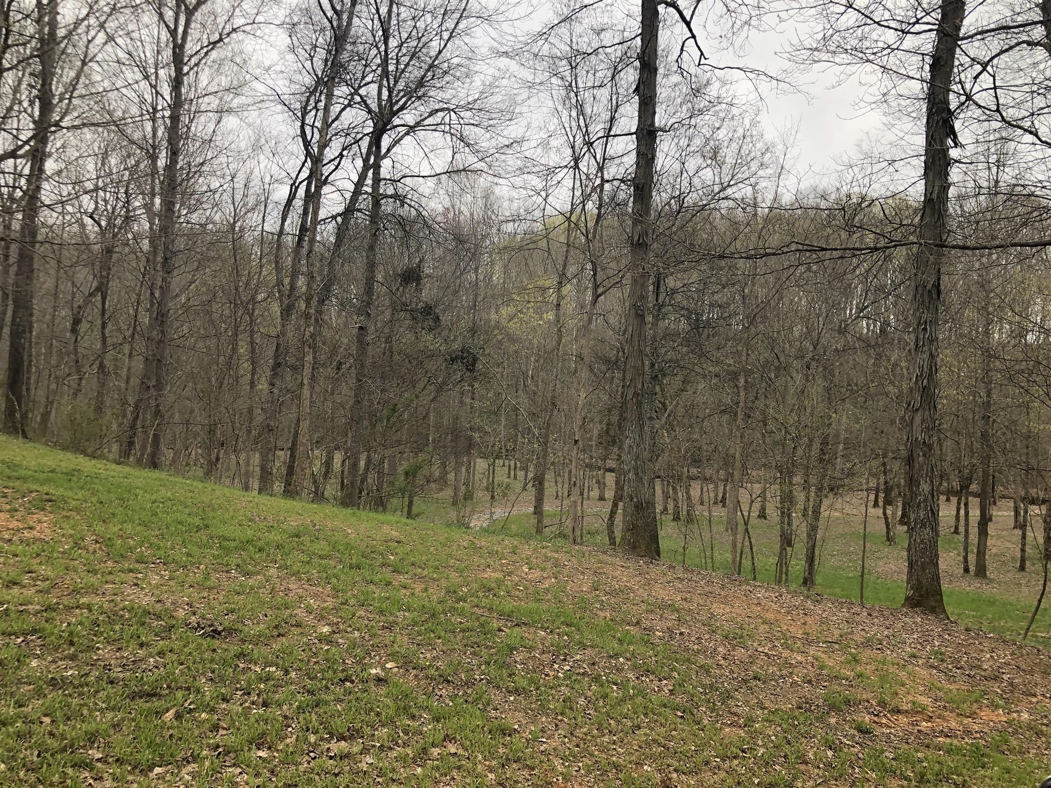8 Highway 76 East Springfield, TN 37172 - Photo 5 of 9 a view of a yard with trees
