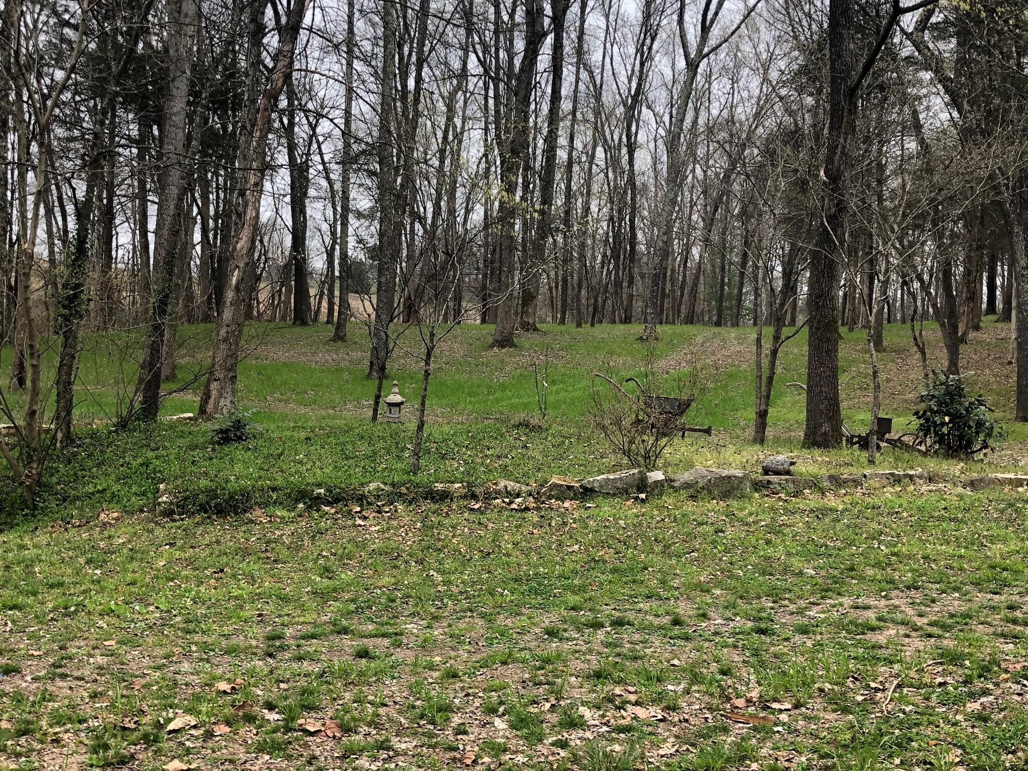 8 Highway 76 East Springfield, TN 37172 - Photo 7 of 9 a view of outdoor space with trees all around