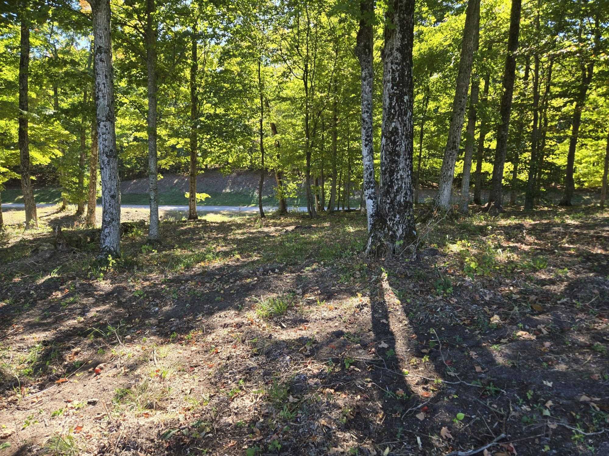 23 Heather Ridge Trail Beulah, MI 49617 - Photo 7 of 10