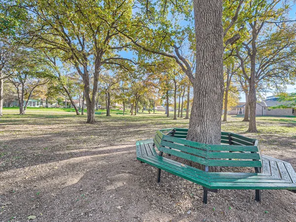 a view of a garden with a tree