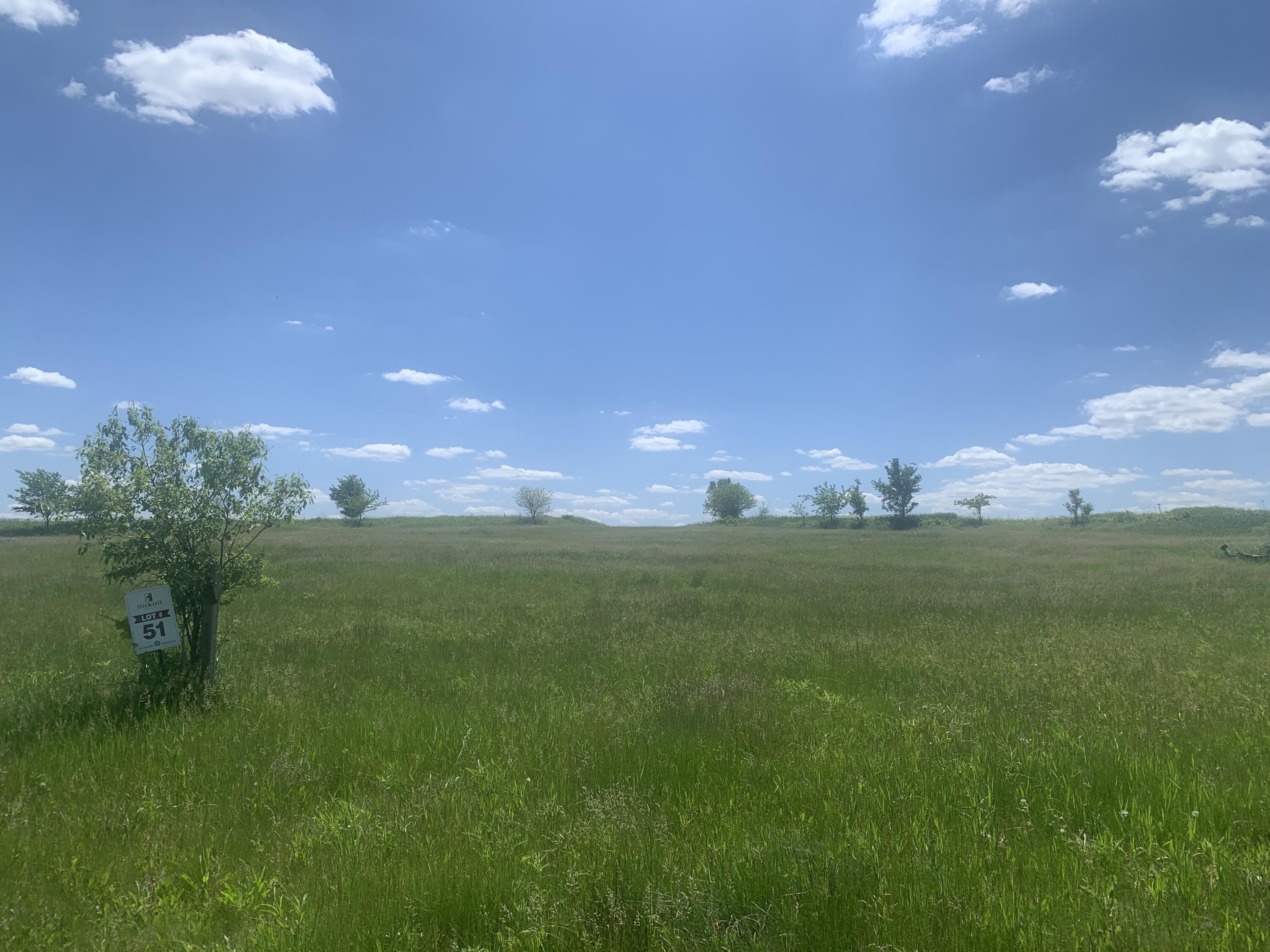 Lt51 Preserve Drive, Elkhorn, WI 53121 Compass