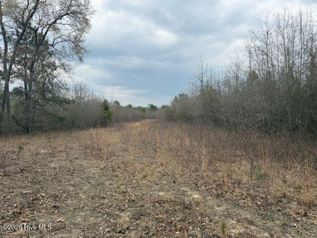 358 Flat Branch Road Gatesville, NC 27938 - Photo 11 of 17 Photo Mar 27 2026, 2 52 23 PM resized