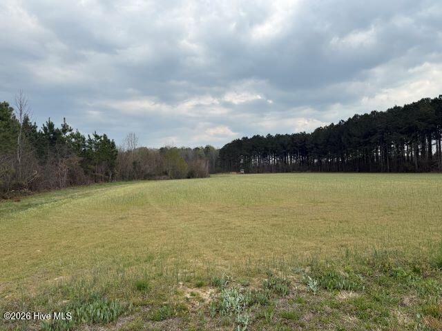 358 Flat Branch Road Gatesville, NC 27938 - Photo 12 of 17 Photo Mar 27 2026, 3 05 27 PM resized