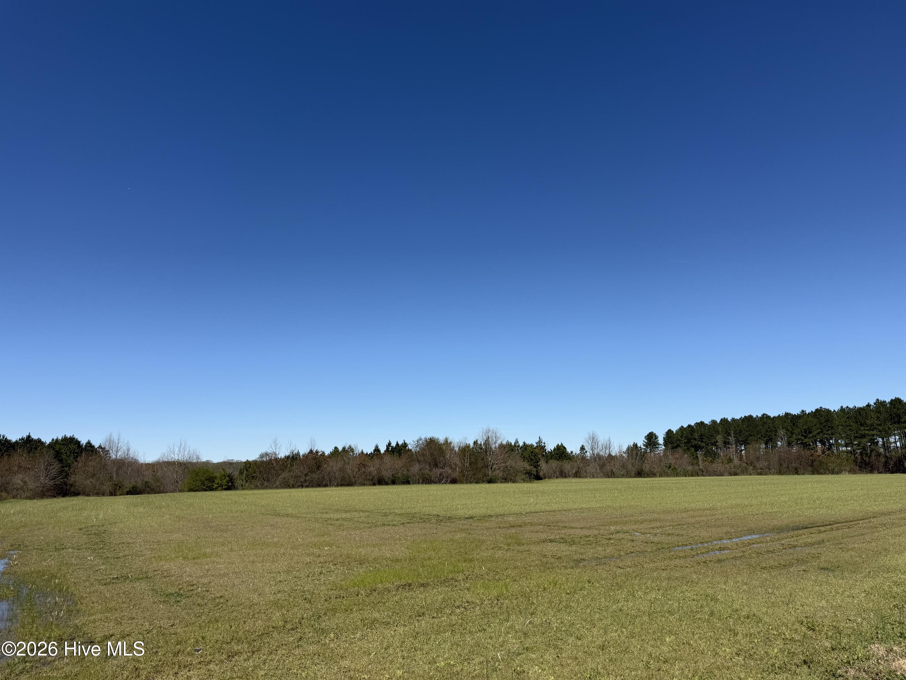 358 Flat Branch Road Gatesville, NC 27938 - Photo 2 of 8 Photo Mar 17 2026, 12 30 57 PM