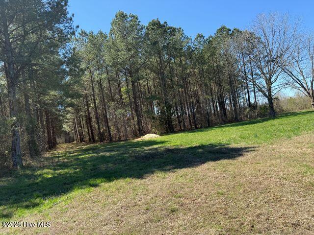 358 Flat Branch Road Gatesville, NC 27938 - Photo 3 of 8 Photo Mar 17 2026, 12 23 15 PM resize