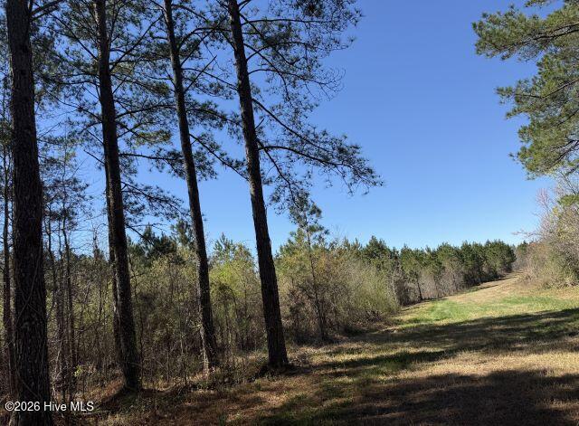 358 Flat Branch Road Gatesville, NC 27938 - Photo 5 of 8 Photo Mar 17 2026, 12 25 16 PM resized