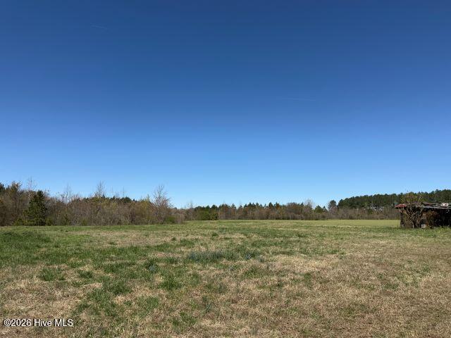 358 Flat Branch Road Gatesville, NC 27938 - Photo 6 of 8 Photo Mar 17 2026, 12 29 44 PM resized