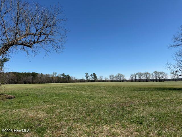 358 Flat Branch Road Gatesville, NC 27938 - Photo 8 of 8 Photo Mar 17 2026, 12 44 51 PM resized