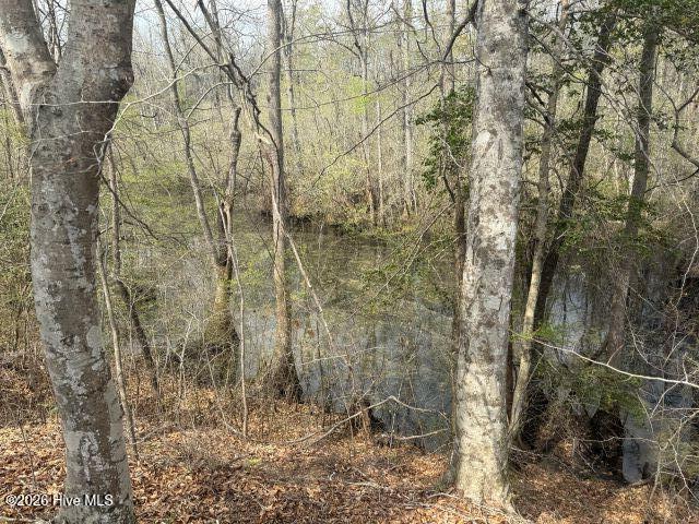 358 Flat Branch Road Gatesville, NC 27938 - Photo 10 of 17 Photo Mar 27 2026, 2 17 11 PM resized
