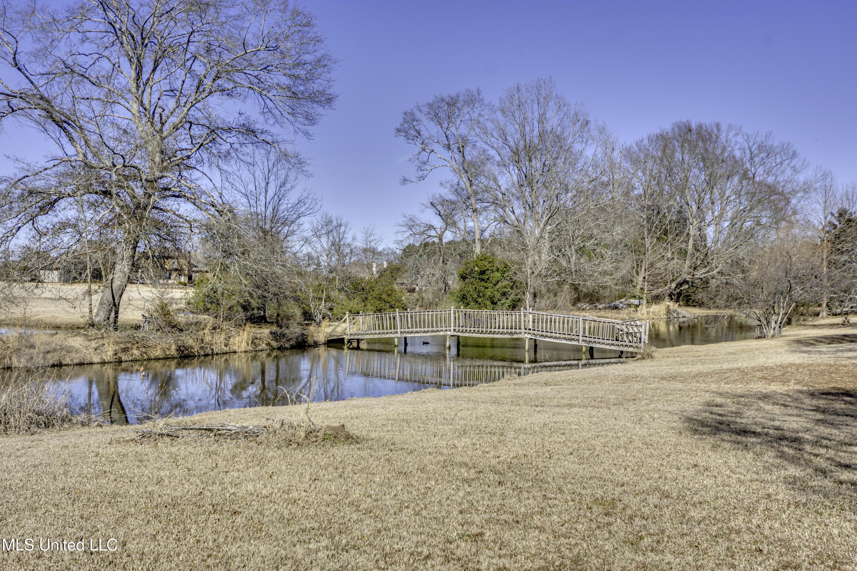 702 Tanglewood Drive Madison, MS 39110 - Photo 126 of 133 114 702 Tanglewood Dr Ext