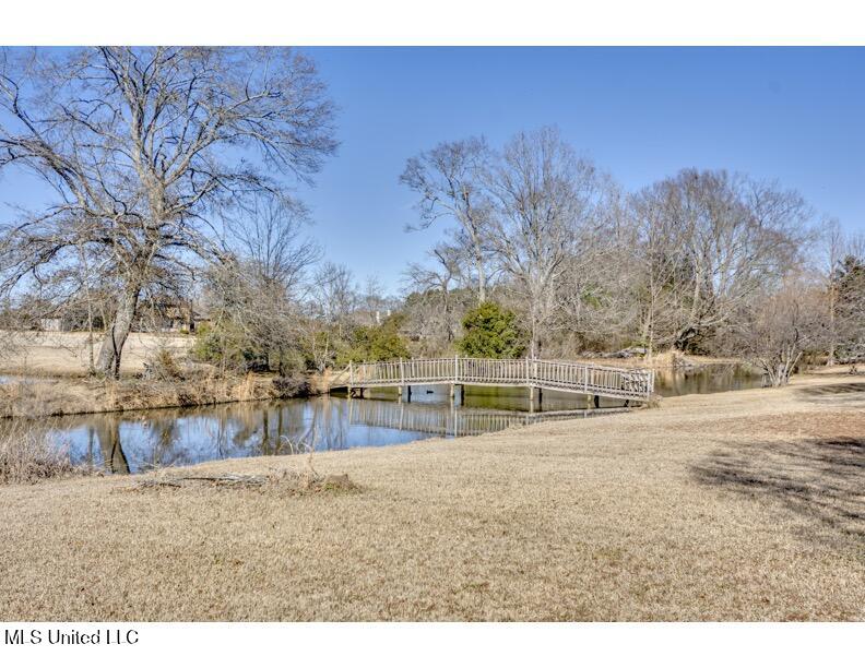 702 Tanglewood Drive Madison, MS 39110 - Photo 127 of 133 RGP_9062- 702 Tanglewood Dr Ext.tif