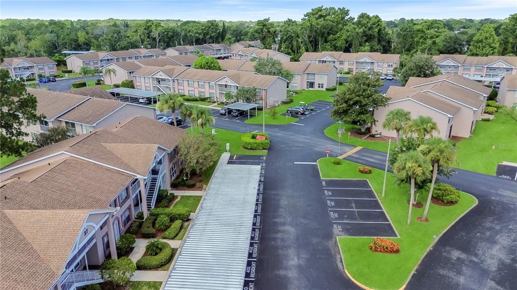 6338 Spring Flower Drive, Unit 21 New Port Richey, FL 34653 - Photo 11 of 18 a view of a garden with pathway